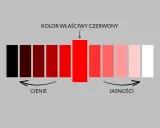 Paleta pokazuje różne odcienie czerwieni, od ciemnych cieni po jasne tony. Kolor właściwy czerwony jest centralnym punktem.