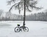Rower czeka na wiosnę przy zamarzniętym stawie. Zimowe trasy rowerowe Tarnów kuszą pięknem przyrody.