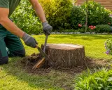 Un jardinier s'affaire à détruire une souche d'arbre avec une scie et un levier, dans un jardin fleuri et ensoleillé.