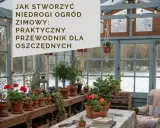 Szklarnia pełna roślin w doniczkach, z tekstem "Jak stworzyć niedrogi zimowy ogród". Tanie pomysły do ogrodu dla oszczędnych.