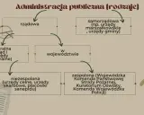 Tak, Policja to organ administracji publicznej! Co to znaczy dla Ciebie?