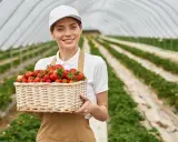 Uśmiechnięta pracownica w czapce i fartuchu trzyma kosz pełen truskawek. W tle widać plantację pod osłonami, gdzie trwa praca na produkcji.
