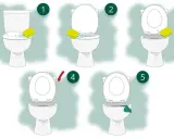 Schritt-für-Schritt-Anleitung, wie oft Toilette putzen: Schwamm mit Reinigungsmittel, Bürsten, Spülen, Abwischen.