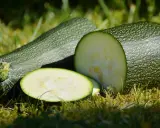 Här ligger färsk så zucchini på gräset, en hel och en delad, redo för köket.