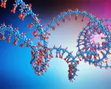 Estructura molecular tridimensional de el arn, con esferas azules, rojas y blancas representando átomos en una doble hélice.