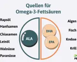 Quellen für Omega-3-Fettsäuren: Rapsöl, Hanfsamen, Chiasamen, Leinöl, Walnüsse, Paranüsse, Algen, Fisch, Krebse, Krill. Die Grafik zeigt, wieviel Omega 3 am Tag man zu sich nehmen kann.