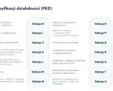 Jakie PKD dla biura podróży? Agent czy organizator klucz do startu