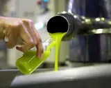 Aceite verde brillante se vierte en una botella. ¿Qué es el aceite lampante? Es un aceite de oliva virgen de baja calidad, no apto para el consumo directo.