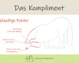 Illustration zeigt häufige Fehler beim Pferd Kompliment beibringen: Kopfstand, gestrecktes Bein, Zehenspitze.