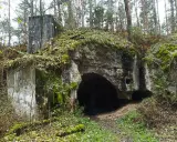 Ruiny twierdzy Osowiec, porośnięte mchem i liśćmi, zapraszają na zwiedzanie. Wejście do bunkra w lesie.