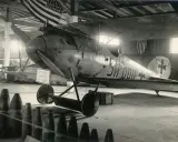 Gefangenes Albatros Flugzeug mit deutscher Kennung in einer Halle, hinter ihm US-Flaggen.