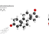 Model cząsteczki androstenedionu, C₁₉H₂₆O₂. Wysoki androstendion może objawiać się różnymi symptomami.