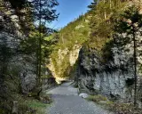 Kamienista ścieżka prowadzi przez wąwóz do drewnianego mostku. Idealne zakopane trasy dla seniorów, gdzie można podziwiać skalne ściany i las.