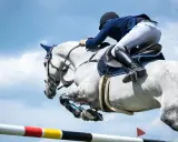 Jeździec i koń pokonują przeszkodę, która jest jednym z wielu rodzajów przeszkód dla koni w jeździectwie.