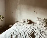 Cama desordenada con manchas de humedad en la pared, indicando las consecuencias de dormir en un colchón con moho. Una planta en maceta y libros añaden un toque hogareño.