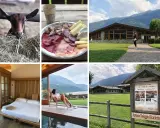 Un agriturismo in montagna in estate: capretta curiosa, tagliere di salumi e formaggi, un edificio moderno, una camera accogliente e una donna rilassata con vista panoramica.