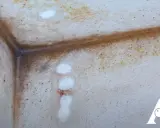 Angoli di un muro con evidenti macchie e aloni, segni di diversi tipi di muffa sui muri.