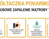 Wirusowe zapalenie wątroby typu A (żółtaczka pokarmowa) przenosi się przez brudne ręce, skażoną wodę/lód i żywność umytą w skażonej wodzie.