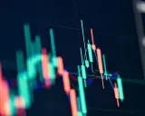 Gráfico de velas con barras rojas y verdes que muestran la volatilidad del valor liquidativo.
