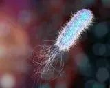 Un batterio Pseudomonas aeruginosa, con i suoi flagelli, è un nemico da eliminare per la salute.