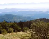 Widok z górskiej hali krupowej na zalesione wzgórza i odległe Tatry.