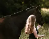 Jeździectwo naturalne: odkryj sekret harmonii z Twoim koniem
