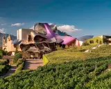 Edificio vanguardista con tejados curvos y viñedos en primer plano. Un ejemplo de alojamientos originales España, donde la arquitectura se fusiona con la naturaleza.