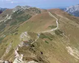 Szlak turystyczny wije się po zboczach Starorobociańskiego Wierchu, otoczony trawami i kosodrzewiną.