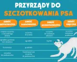 Tabela porównująca narzędzia do pielęgnacji psów o różnym rodzaju sierści: krótkiej, długiej, szorstkiej i kręconej.