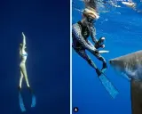Una donna in bikini nuota con gli squali, mentre un'altra in muta interagisce con uno squalo.