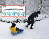 Jak przewidzieć pogodę na przyszły rok? Ludowe metody i nauka