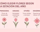 Guía para elegir tipos de flores según la estación: primavera (flores de temporada), verano (resistentes al calor), otoño (tonos cálidos) e invierno (toleran el frío).