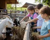 Bambini felici che danno da mangiare a capre e pecore in un agriturismo, un luogo ideale con animali per bambini.