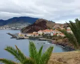 Blick auf eine Küstenstadt mit weißen Häusern und roten Dächern, umgeben von Bergen. Palmen im Vordergrund. Hier leben die Madeira Einwohner.
