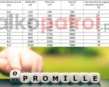 Jedno piwo: Ile czasu spala się w organizmie? Fakty dla kierowców.