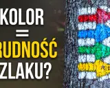 Kolor szlaku a trudność? Strzałki na drzewie: czerwona, niebieska, zielona, żółta.
