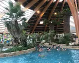 Diversión acuática en Bretaña con niños. Familias disfrutan de una piscina interior tropical con palmeras y toboganes.