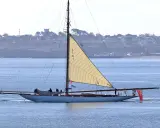 Un élégant voilier, surnommé "mariquita", navigue sur une mer bleue, sa grande voile beige déployée. Une côte verdoyante bordée de maisons se dessine à l'horizon.