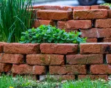 Okrągła rabata z cegły, w której rośnie mięta i szczypiorek. Cegły ułożone techniką brick stitch tworzą naturalną, rustykalną oprawę.