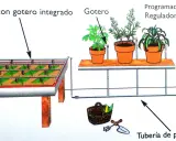 Diagrama de una instalacion riego por goteo, mostrando tuberías, goteros, macetas y un programador.