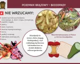 Grafika informuje, co wrzucać do brązowego pojemnika na bioodpady: resztki warzyw, owoców, fusy. Rocznie w Polsce powstaje 5 mln ton bioodpadów.