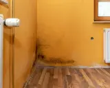 Manchas de moho en la esquina de una habitación con paredes naranjas y radiadores. Un problema común que indica cómo medir la humedad en casa.