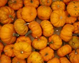 Une abondance de citrouilles orange vif, certaines ressemblant à des "jack be little", sont disposées en gros plan, prêtes pour Halloween.