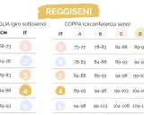 Tabella taglie reggiseni: misure sottoseno e coppa per trovare la taglia perfetta.