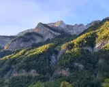Majestuosas montañas cubiertas de bosque verde y rocas, perfectas para **rutas por Ordesa** en un día soleado.