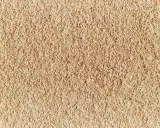 Texture granuleuse de diatomite, témoignant de son évolution naturelle.