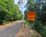 Pustynia Błędowska trasa rowerowa. Znak wskazuje drogę przez las.
