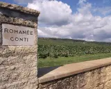 Entrée du vignoble Romanée-Conti, réputé pour produire la bouteille de vin la plus chère du monde. Paysage vallonné et ciel nuageux.