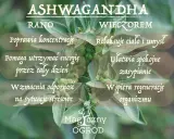 Ashwagandha rano poprawia koncentrację, wieczorem ułatwia zasypianie. Kiedy brać? Rano dla energii, wieczorem dla relaksu.