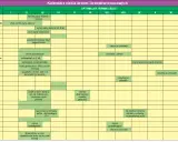 Kalendarz cięcia drzew i krzewów owocowych: do kiedy można przycinać drzewa owocowe? Sprawdź optymalne terminy dla agrestu, jabłoni, śliw i innych.